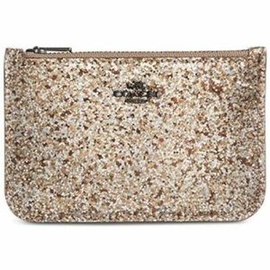 Coach NWT Platinum Glitter Wallet